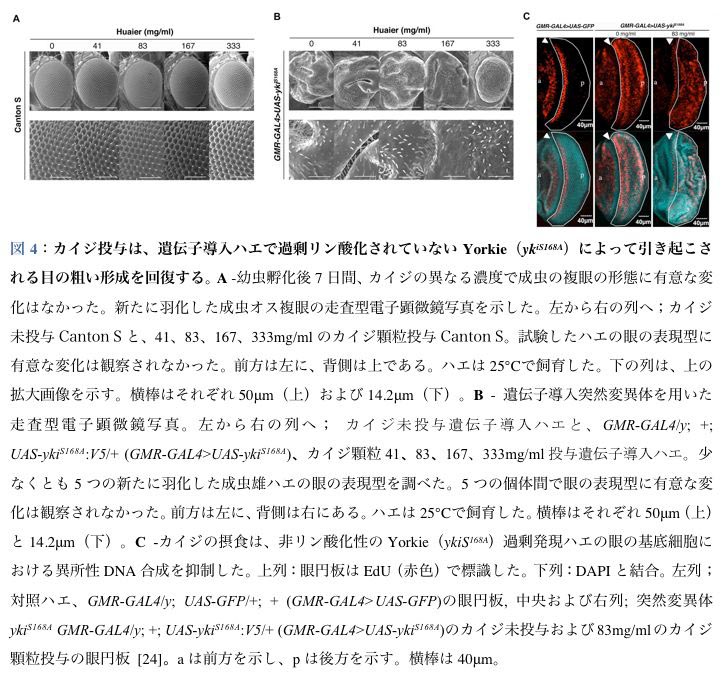 図4-日本語説明文付き2